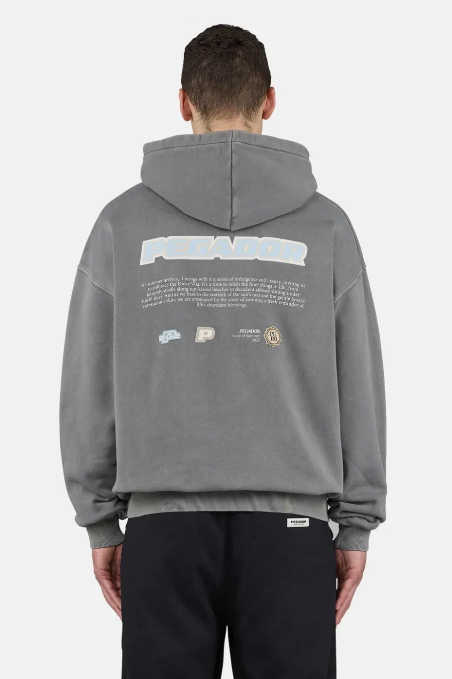 Sentinal Oversized Hoodie Vintage Grey-1